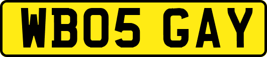 WB05GAY