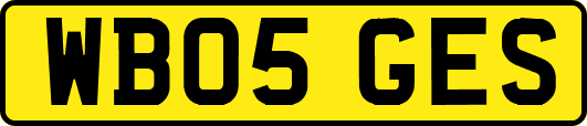 WB05GES