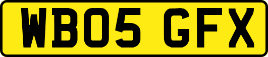 WB05GFX