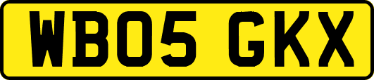 WB05GKX