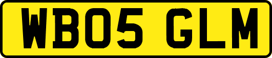 WB05GLM