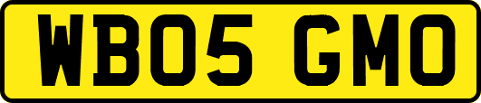 WB05GMO