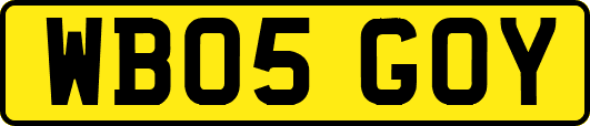 WB05GOY