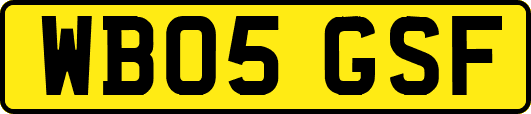 WB05GSF