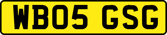 WB05GSG