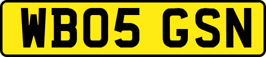 WB05GSN
