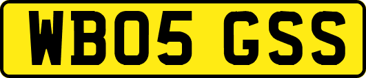 WB05GSS