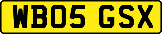 WB05GSX