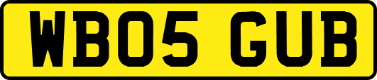 WB05GUB
