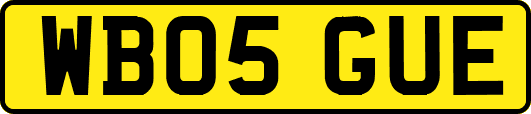 WB05GUE