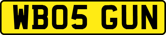 WB05GUN