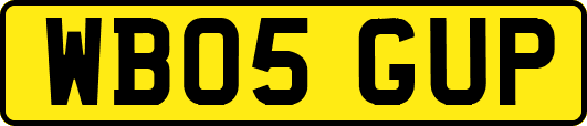 WB05GUP