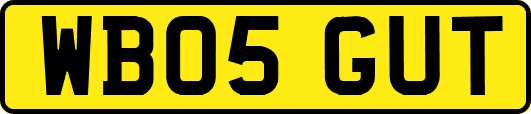 WB05GUT
