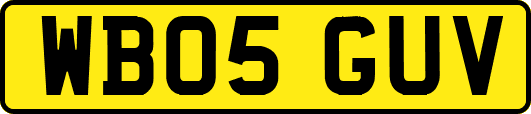 WB05GUV