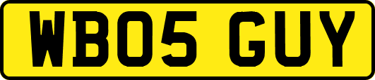 WB05GUY