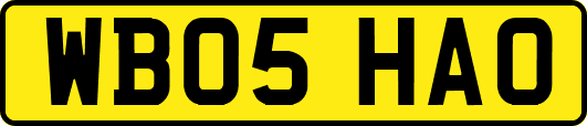 WB05HAO