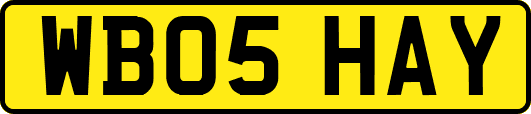 WB05HAY