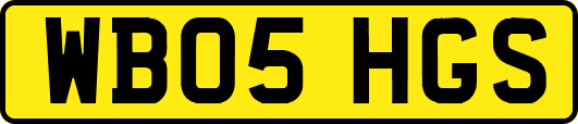 WB05HGS