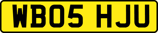 WB05HJU