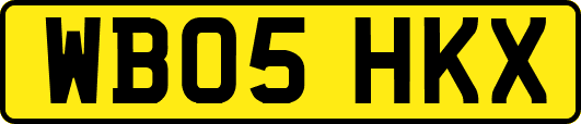 WB05HKX