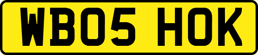 WB05HOK