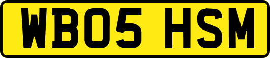 WB05HSM