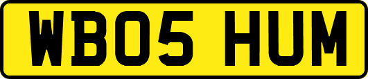 WB05HUM