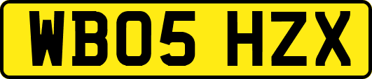 WB05HZX