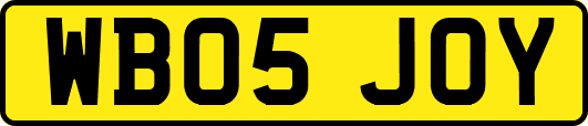 WB05JOY