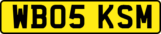WB05KSM