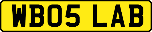 WB05LAB