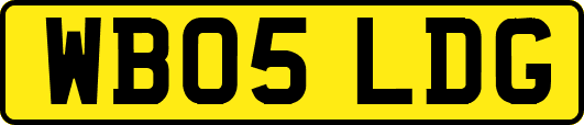 WB05LDG