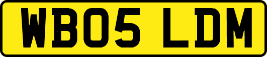 WB05LDM
