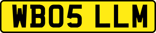 WB05LLM