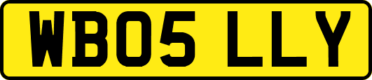 WB05LLY