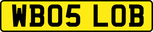 WB05LOB