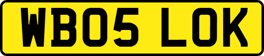 WB05LOK