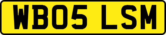 WB05LSM