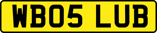 WB05LUB