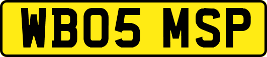 WB05MSP