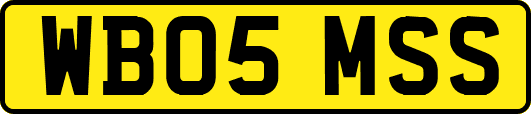 WB05MSS