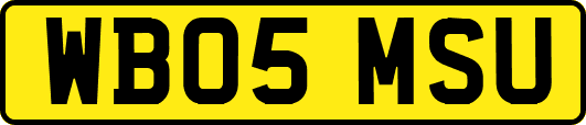 WB05MSU