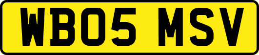 WB05MSV
