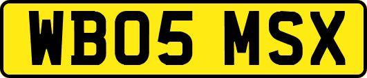 WB05MSX