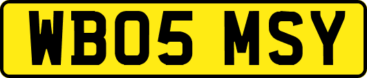 WB05MSY