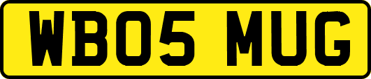 WB05MUG