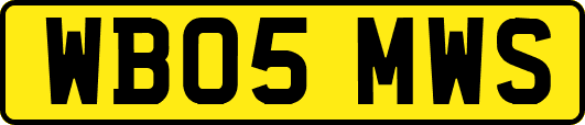 WB05MWS