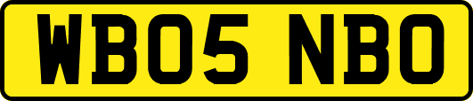 WB05NBO