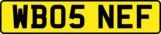 WB05NEF