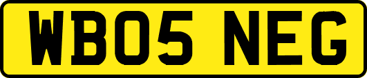 WB05NEG